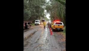 Motorista morre e passageira fica ferida após árvore cair sobre carro durante temporal